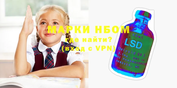 apvp Инсар