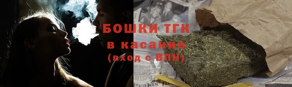 apvp Инсар