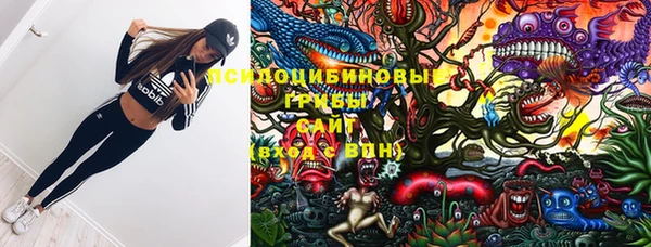 прущая мука Иннополис