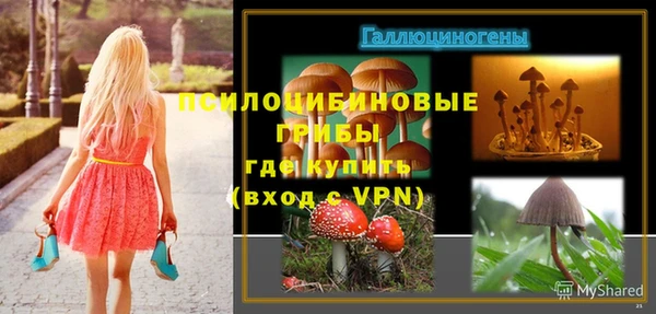 Альфа ПВП Каменногорск