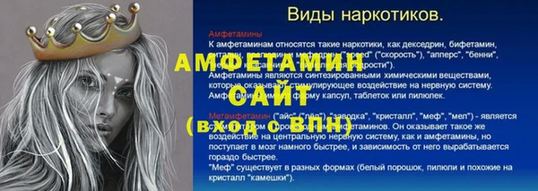 apvp Инсар