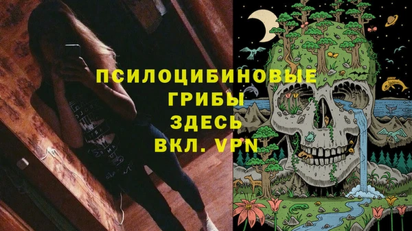 а пвп мука Каменка