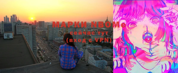 apvp Инсар