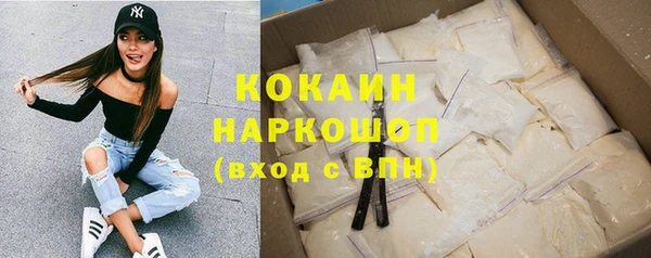 apvp Инсар