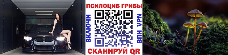 Псилоцибиновые грибы прущие грибы Купить закладки Урус-Мартан